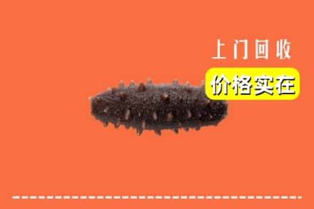 诚信求购:江华县高价回收海参