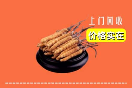 江华县回收冬虫夏草