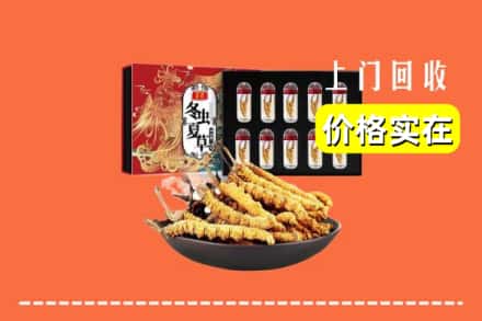 江华县回收虫草